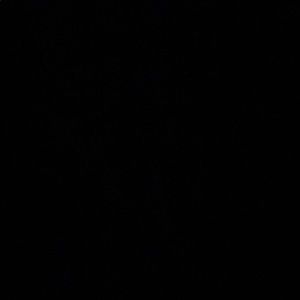 Meet your Posher, Stephen